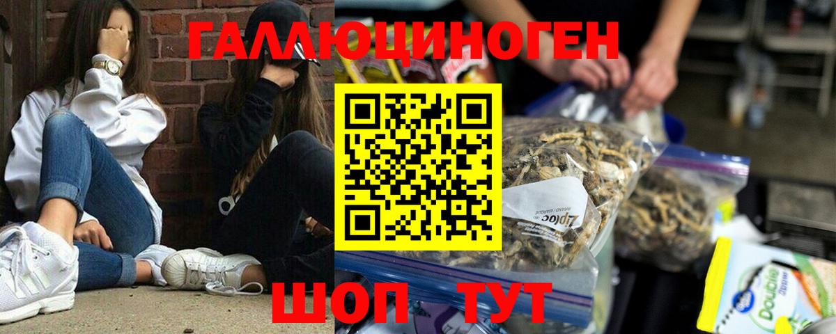 Галлюциногенные грибы мухоморы Железногорск